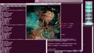 Volume Rendering Program using GPU raycast with VTK57 on Ubuntu 1010 [upl. by Nednarb]