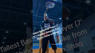 NBA Hopefull Nigerias 711 Abiodun Adegoke Big Naija dunks on Shaq nba nigeria basketball [upl. by Milda]