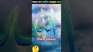 shortfeed islamicstatus amazingfacts ytshorts shortsvideo islamicfacts [upl. by Notsa]