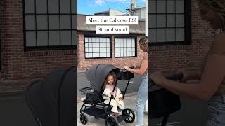 Need help when deciding on a double stroller [upl. by Hancock271]