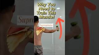 Shoulder Injury You Need To Train Overhead Movement Eventually [upl. by Naihtsirc]