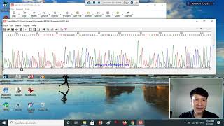 Basic Molecular Phylogenetics Lab part 1 [upl. by Hollinger]