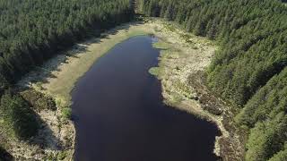 Loughnafanogy Glenariff forest park drone aerial footage [upl. by Accissej]