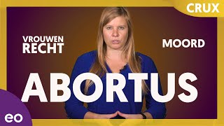 Polarisatie in het abortusdebat  Explainer abortus  Dit is de Crux [upl. by Miharba]