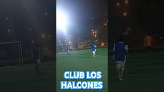 Halcones 2da division [upl. by Aynat124]