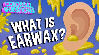 What Is Earwax  COLOSSAL QUESTIONS [upl. by Nailij481]