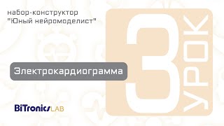 Урок 3 Электрокардиограмма BiTronics Lab [upl. by Roseanna]