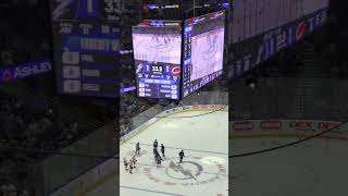 A Fans Perspective Experiencing the Lightning vs Hurricanes PreSeason Game at the Amalie Arena [upl. by Monjo]