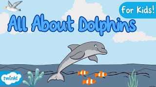 All About Dolphins for Kids  Dolphin Facts 🐬 [upl. by Jenks]