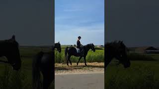 this is me riding on Ameland🤩 On an unknown pony🥰 Blacky😁🐴 [upl. by Clorinda]