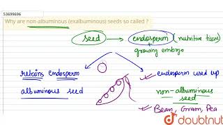 Why are nonalbuminous exalbuminous seeds so called [upl. by Ajnek]