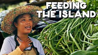 The Most Popular Island in the Philippines Cant Feed Itself Yet Siargao [upl. by Mortimer]