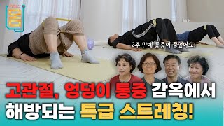 Full 고관절 엉덩이 통증 감옥에서 해방되는 특급 스트레칭ㅣ귀하신 몸ㅣ67화 죽을 때까지 걷고 싶다면 고관절을 지켜라 [upl. by Kalmick]