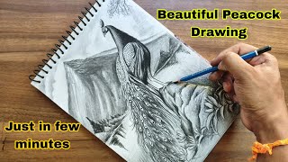 Draw a peacock just in few minutes  Pencil Drawing tutorial [upl. by Lorin]