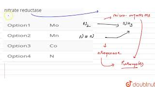 Component of nitrogenase and nitrate reduction is [upl. by Chainey431]