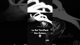 Le Calamar Colossal  Le Roi Terrifiant Des Fonds Marins 💀 shorts [upl. by Haswell390]