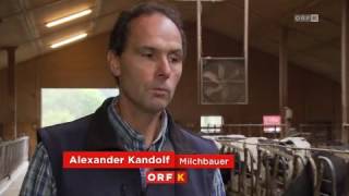 AMA Beitrag Berglandmilch 18102016 [upl. by Anitnatsnoc]