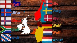 Animals  Germanic Languages Compared [upl. by Patricia]