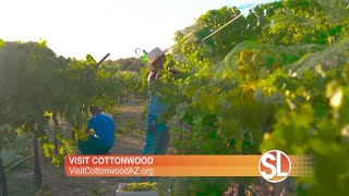 Visit Cottonwood in the heart of Arizona wine country [upl. by Ahse38]