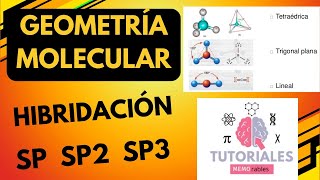 La mejor clase sobre Hibridación SP SP2 SP3  geometría molecular enlaces sigma y pi [upl. by Ekralc]