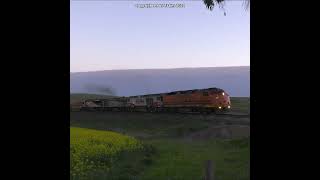 EPIC POWER ON SCT FREIGHT WITH HIRED STREAMLINER ENGINE  australiantrains australianrailways [upl. by Niknar]