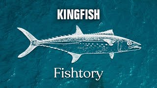 Catching Kingfish Everything You Need To Know  Fishtory [upl. by Eixela]