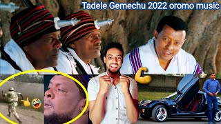 Tadele Gemechu music reaction 2022 sirba Hacalu fi gotoota oromo farsu fi diina salfachise😀 Abushiye [upl. by Oibesue927]