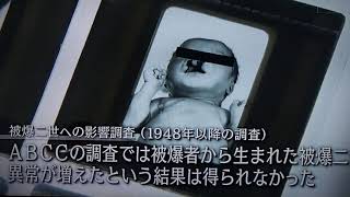 ABCC 放射能影響研究所 『乳児の死体を多く集めて解剖して』 被爆者 調査 被爆者 [upl. by Pickett628]