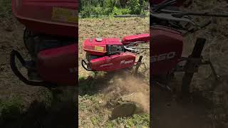 Motoculteur Honda F560 lawncare farming [upl. by Viking]