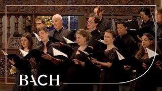 Bach  Motet Fürchte dich nicht ich bin bei dir BWV 228  MacLeod  Netherlands Bach Society [upl. by Eixor833]