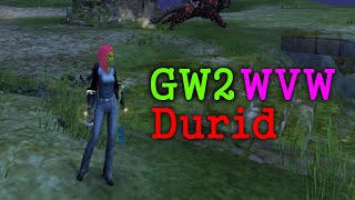 GW2 WVW  Ranger Durid [upl. by Mehalek308]