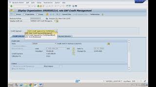 SAP S4 HANA SD 2024 FSCM Credit Management 2  17 [upl. by Rinaldo]