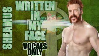 Sheamus  Written In My Face Vocals Only [upl. by Burman]