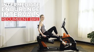 Intermediate Recumbent Bike Endurance Intervals Workout [upl. by Milzie478]