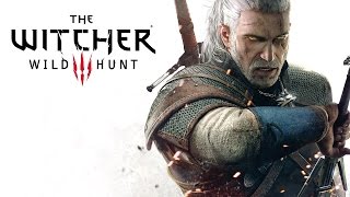 The Witcher 3  The Ultimate Critique [upl. by Howard]