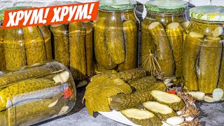 Эти огурцы на зиму БЕЗ СТЕРИЛИЗАЦИИ ПОГРЕБ не нужен Вкуснее чем маринованные огурчики [upl. by Anrim188]