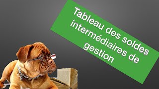 Les soldes intermédiaires de gestion  Analyser l’activité d’une entreprise  le compte de résultat [upl. by Ehttam853]