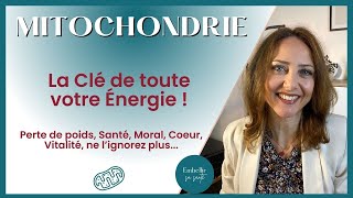 Comment la Mitochondrie Influence Notre Énergie et Notre Santé Biologie Cellulaire [upl. by Wolf]