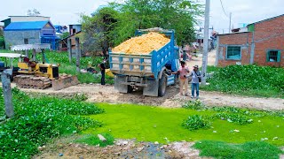 Start New Project Landfill Flooded Delete Pond Bulldozer Komatsu With 5T Trucks Push Soil [upl. by Nnasor617]