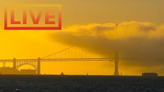 🔴 San Francisco Skyline LIVE · hosted by Mersea Restaurant 🌴 Treasure Island [upl. by Niboc]