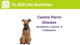 Canine Parvo Disease  Symptoms Causes amp Treatments  Dr Bills Pet Nutrition  The Vet Is In [upl. by Hcra]