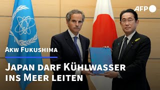 Fukushima Japan darf AkwKühlwasser ins Meer leiten  AFP [upl. by Fryd]