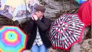 Have You Ever Seen The Rain  Harmonica by harproli [upl. by Frazier]