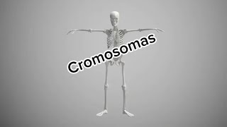 Cromosomas medicinauy [upl. by Ahsuas]