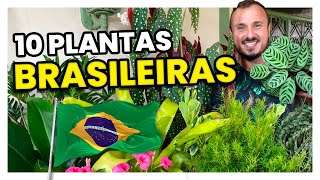 10 Plantas Nativas do Brasil [upl. by Parthen]