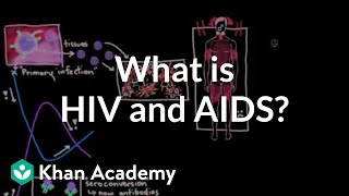 What is HIV and AIDS  Infectious diseases  NCLEXRN  Khan Academy [upl. by Norine]