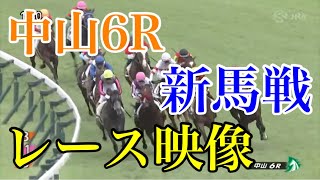 916 中山6R 新馬戦 レース映像 [upl. by Iidnarb]