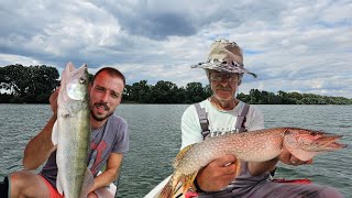 PECANJE SMUĐA I ŠTUKE NA ZGAŽENOG KEDERA fishing zander pike [upl. by Odradlig]