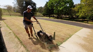 Full Lawn Renovation From START To FINISH  Scalp Dethach Aeration and Topdress [upl. by Nessie]