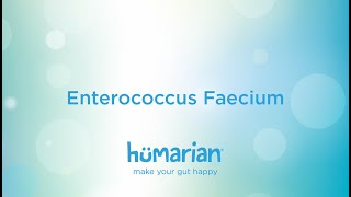 Enterococcus Faecium [upl. by Retrop207]